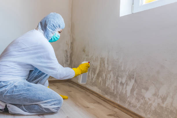 Mold Remediation specialist working in Elizabeth